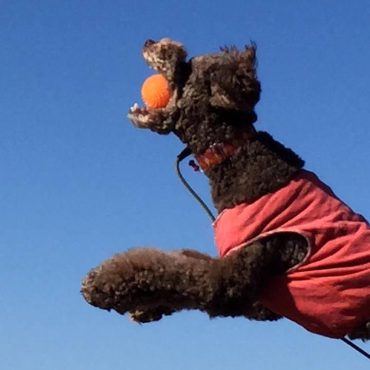 D69ac514 67c9 4bac 8bb3 9577445ede6a