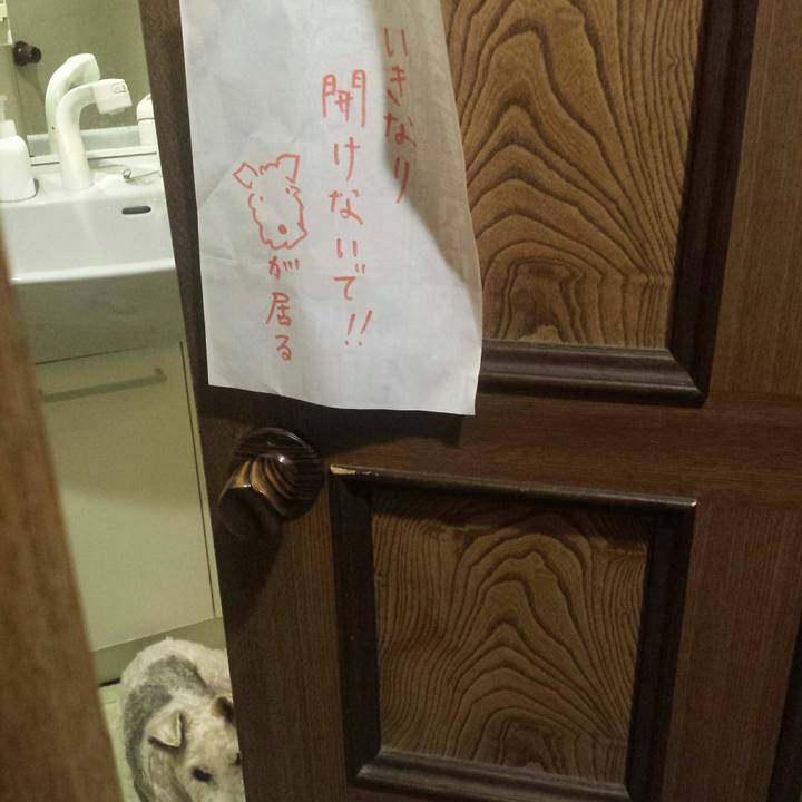 D69b30df 7f5c 486f 99fc ee97478e058c