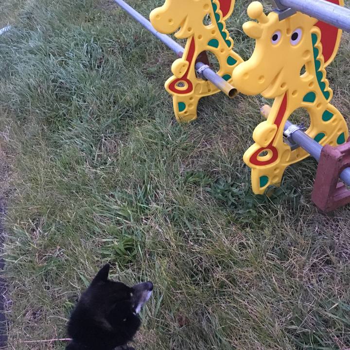 D69b8871 07d7 4ca2 bf3b 2cdd4a93b6d6