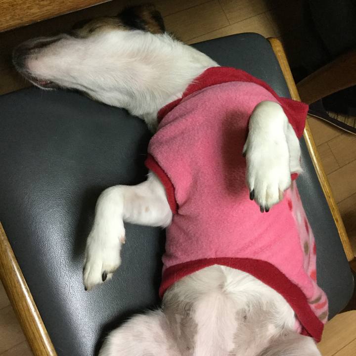 D69c5bb5 6d11 42a7 b5b2 7a46261050ed