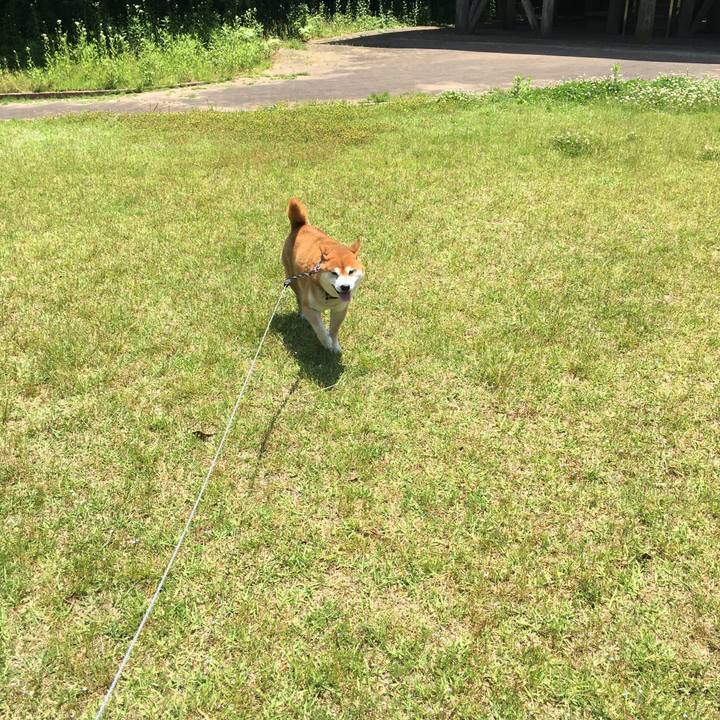 D69c70ad ab6e 44a6 949a 866364386d51