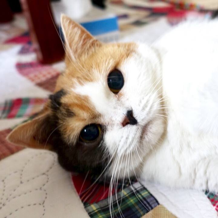 D69c8184 88b4 48e5 8e16 cb0ad29ba9b3