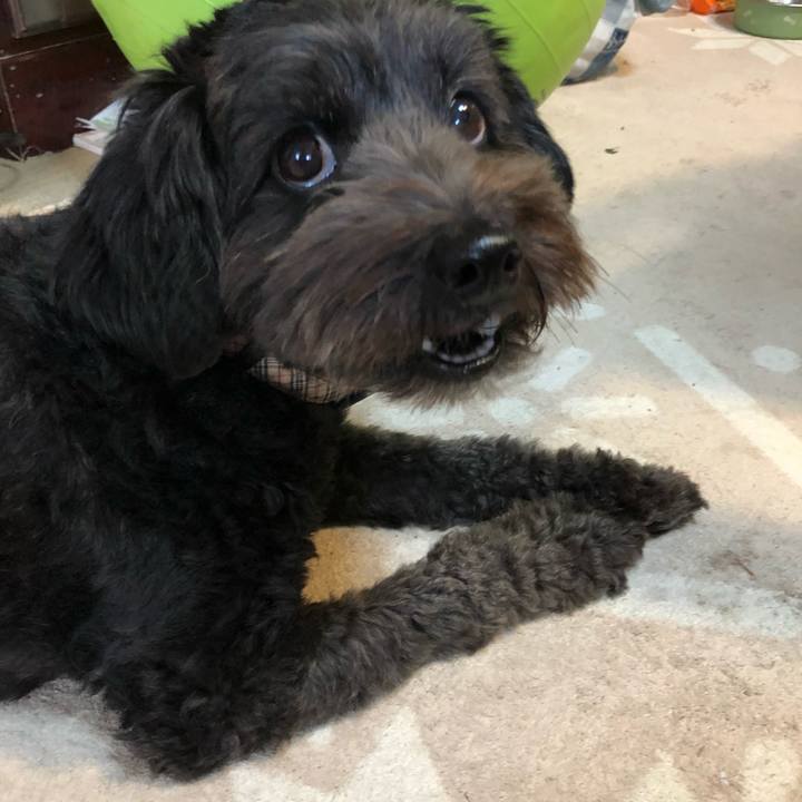 D69ccb55 89aa 4d90 9bc8 0664a3d2c41b