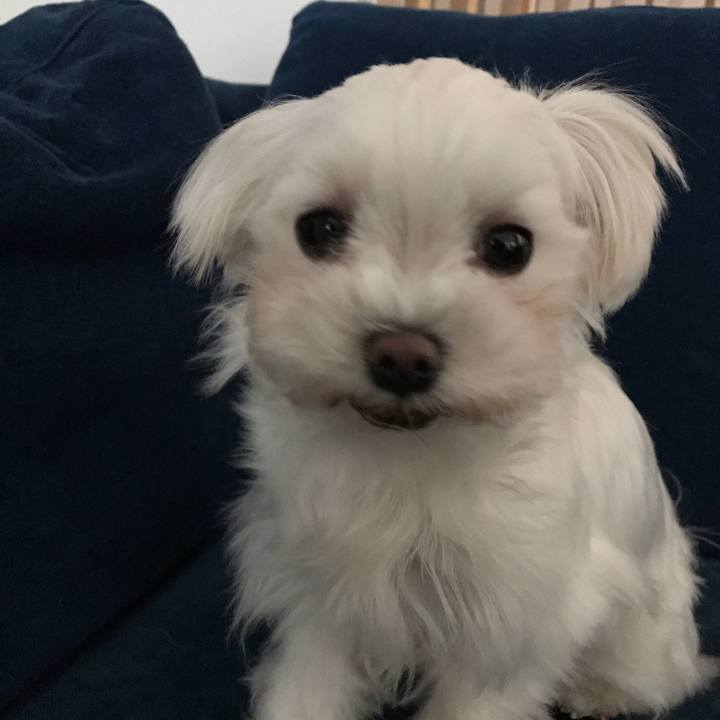 D69cd861 d0c9 4485 adad 59d355c8a6b1