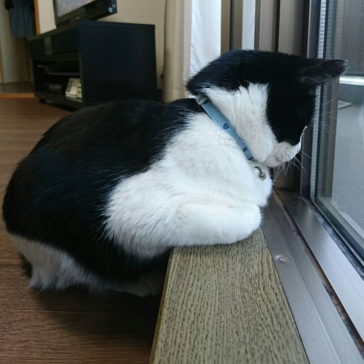 D69cfc2f d03b 4aac acf8 a0697a4debbb