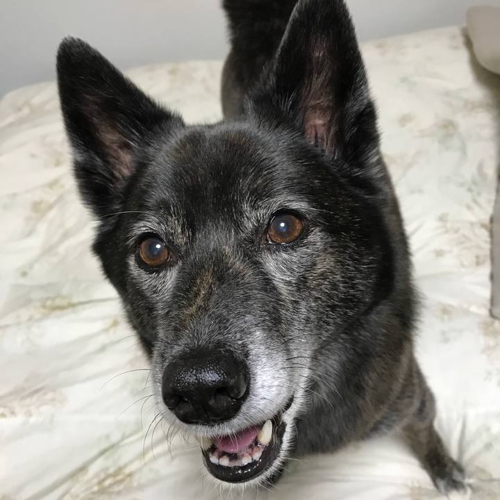 D69d60e1 6628 499e 9b59 6ed639a0983b