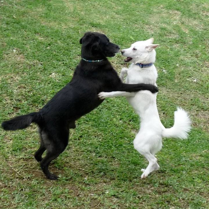 D69d7a75 e9e4 4906 8ee6 0348900b947b