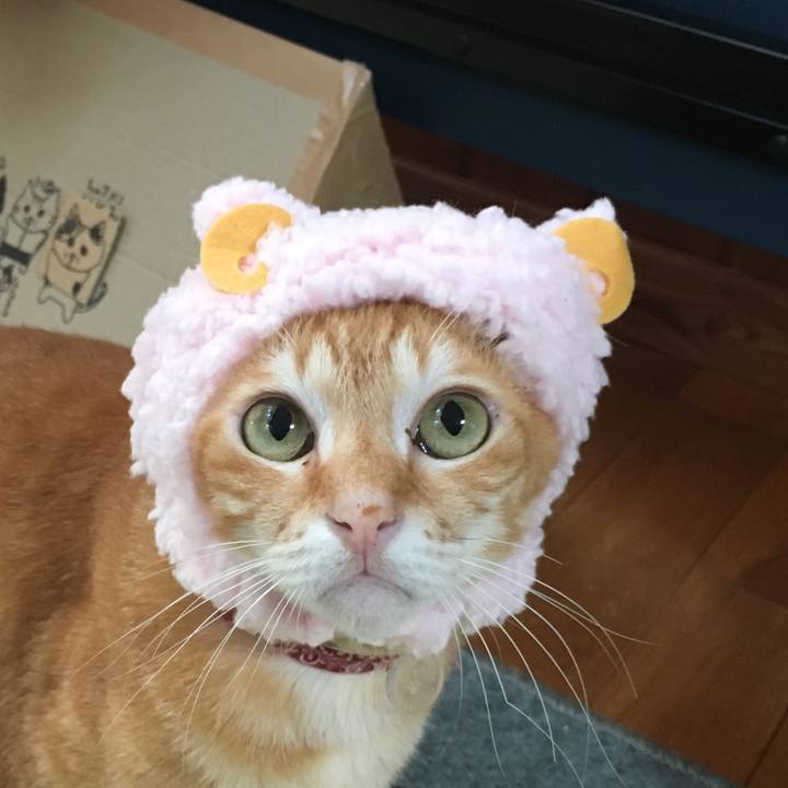 D69e8bd3 7156 45f0 9753 1c01c09c2d9c