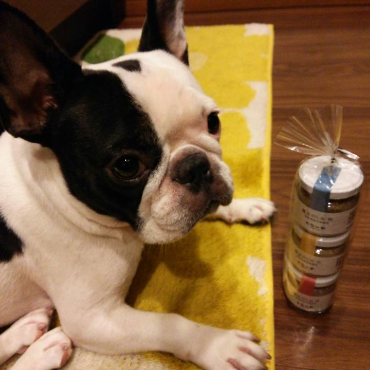 D69ea2e6 fdc3 48ac ad44 d04895001e21