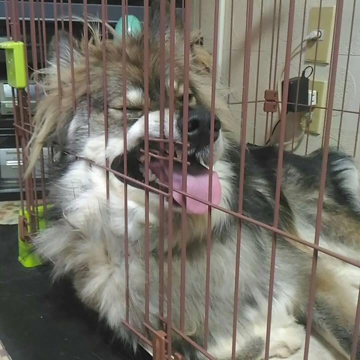 D69ee929 d93e 4653 bad9 4ab1a4fcd7bb