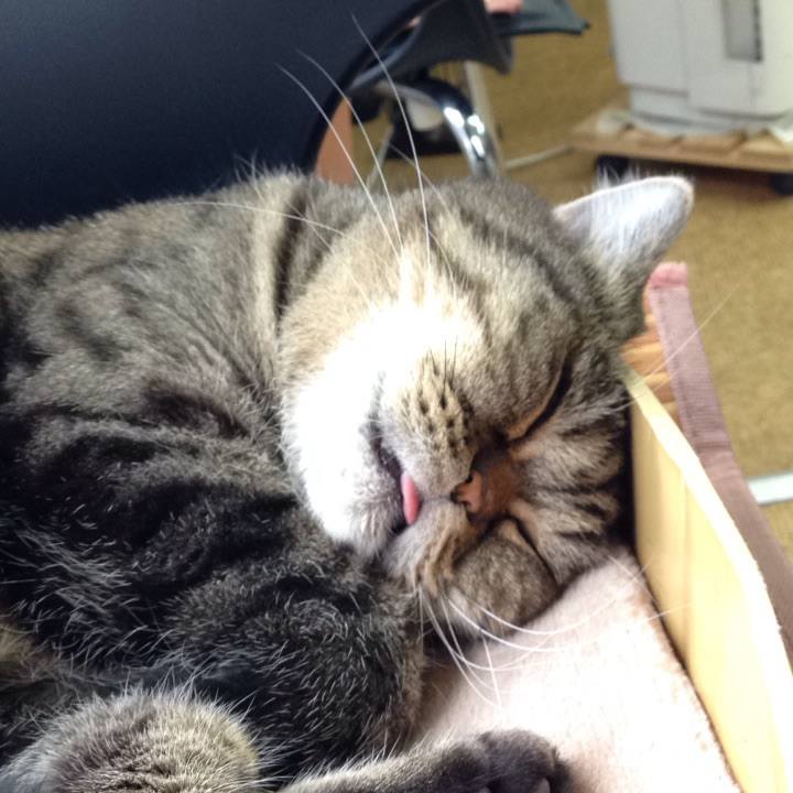 D69f535e 5bad 4912 b166 e72fe1d02916