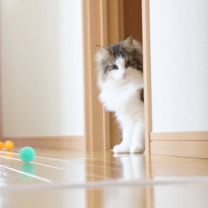 D6a05c87 f6ef 4988 90c9 7287f1089873