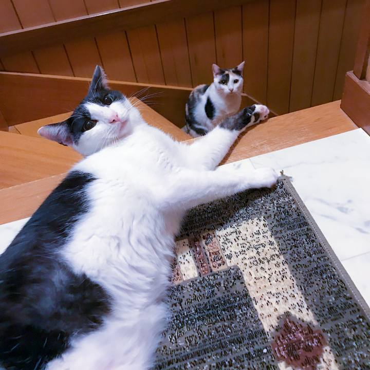 D6a0a0a5 b875 4a0a b768 c1572ff29971