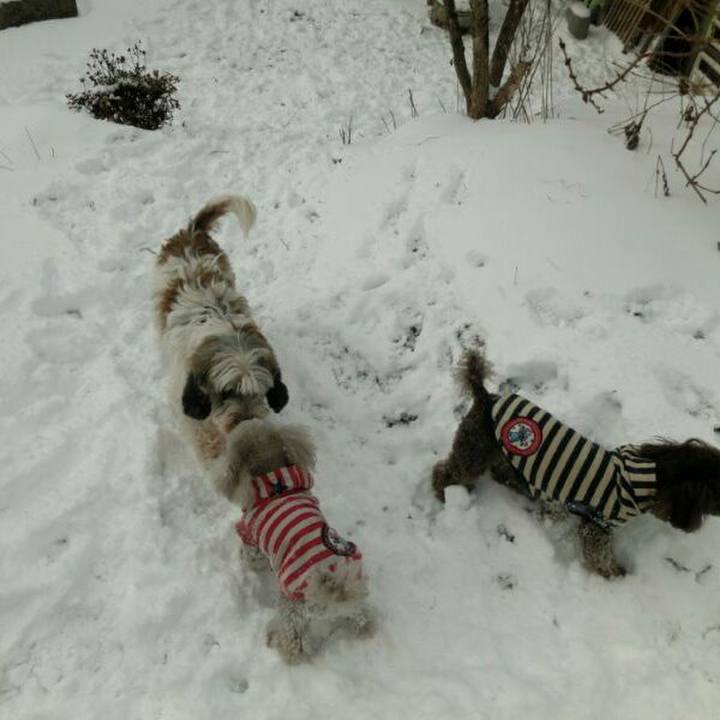 D6a0d789 5025 4de3 aefc a5c91c293f9e