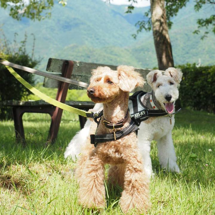 D6a17c68 7fd7 48b7 a7f7 86fa722234d2