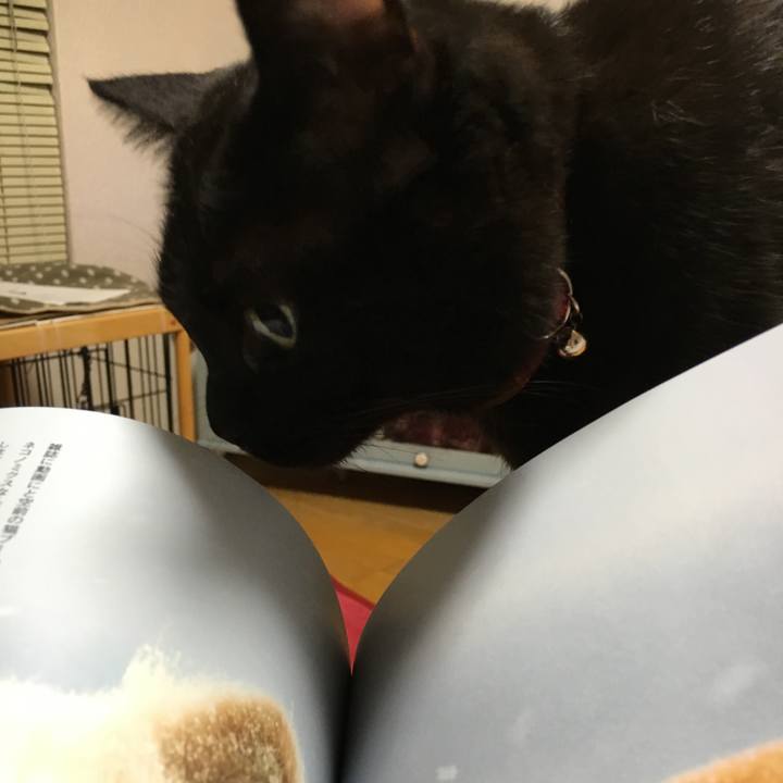 D6a19003 4d92 498e 9de9 58ca8a08dbab