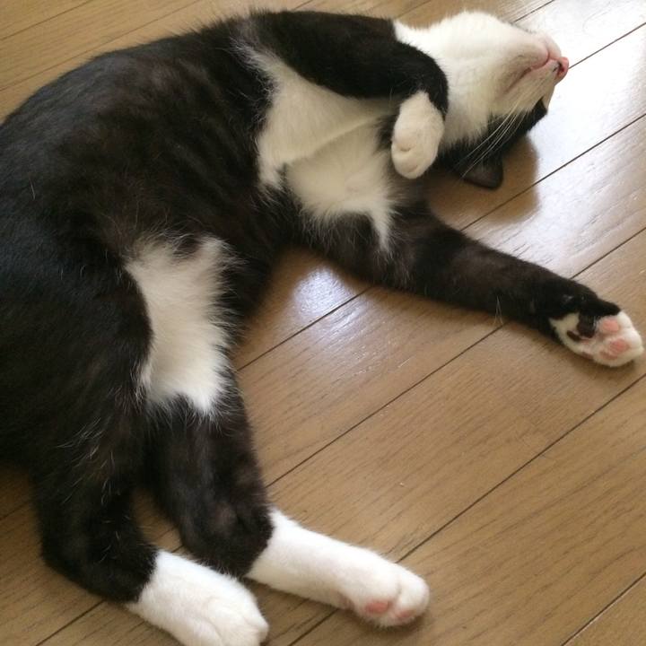 D6a1ab8b 3236 46f7 8b60 fa6f553bdfea