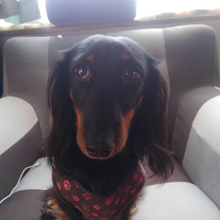 D6a1c7fc 44b9 4456 834d 373dcedce86b