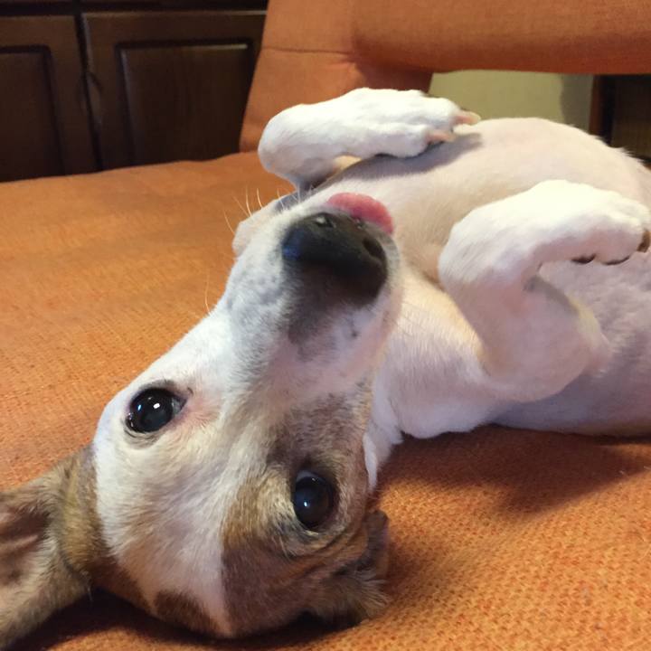 D6a200d0 19c9 41ee 9263 267a9641e354