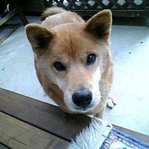 D6a25ee7 3be9 4dc6 bf16 415ce5f78b31