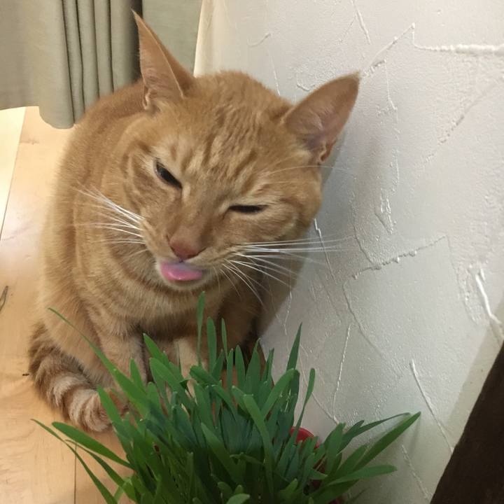 D6a281f3 96f4 4c30 ac67 28ff0798392a