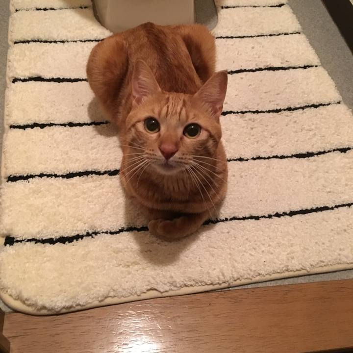 D6a29105 bb3d 4a8f 9908 a4ea50407d13