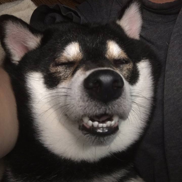 D6a30f26 52c1 411a 9428 d287f1c5f17a