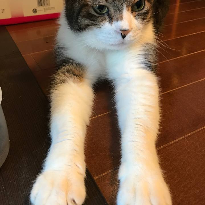 D6a327c3 1ccf 4c0f b515 0b53dbac72ed