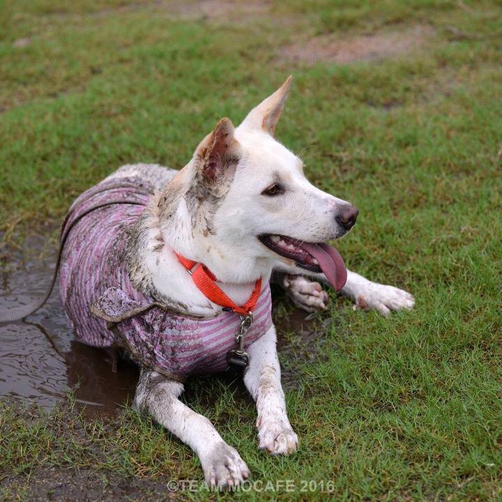 D6a358ef b560 4220 a6a7 08a569f4a313