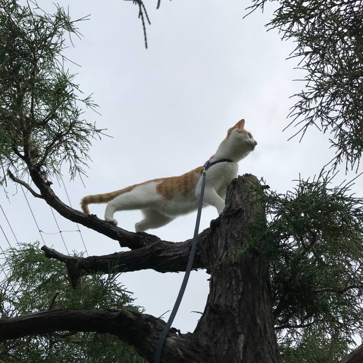 D6a3a2c5 5641 4eb9 8655 fbe637725be9