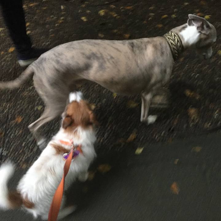 D6a495d3 504e 4180 aeaf c5a4ef0d24ab