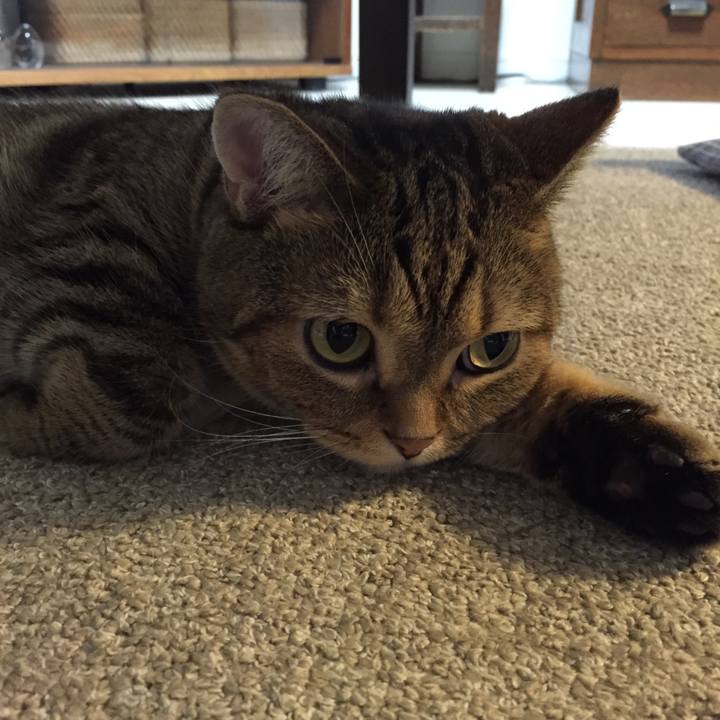 D6a4e36d 0925 45be a909 5d842cb24777