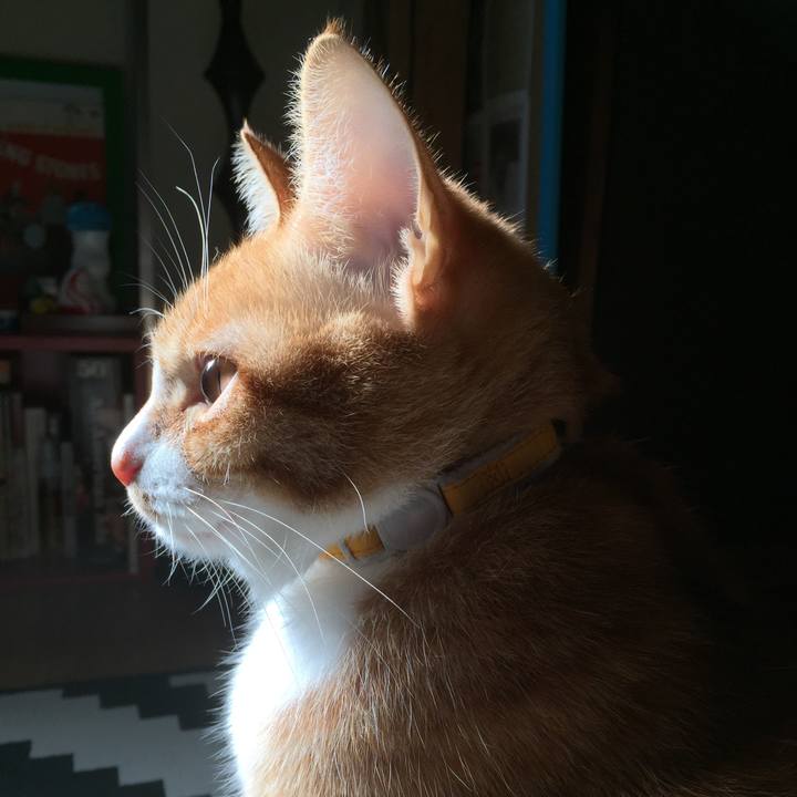 D6a506d5 9eb9 4caf 9e9e 981368da0cf0