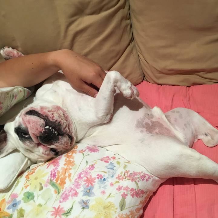 D6a5a8e4 aa0e 466c 9728 12aa3219b90a