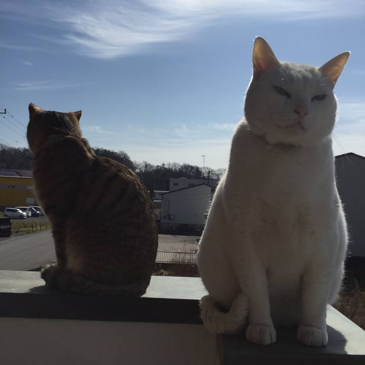 D6a5bb89 980c 4cb0 819d fba79c4c6784