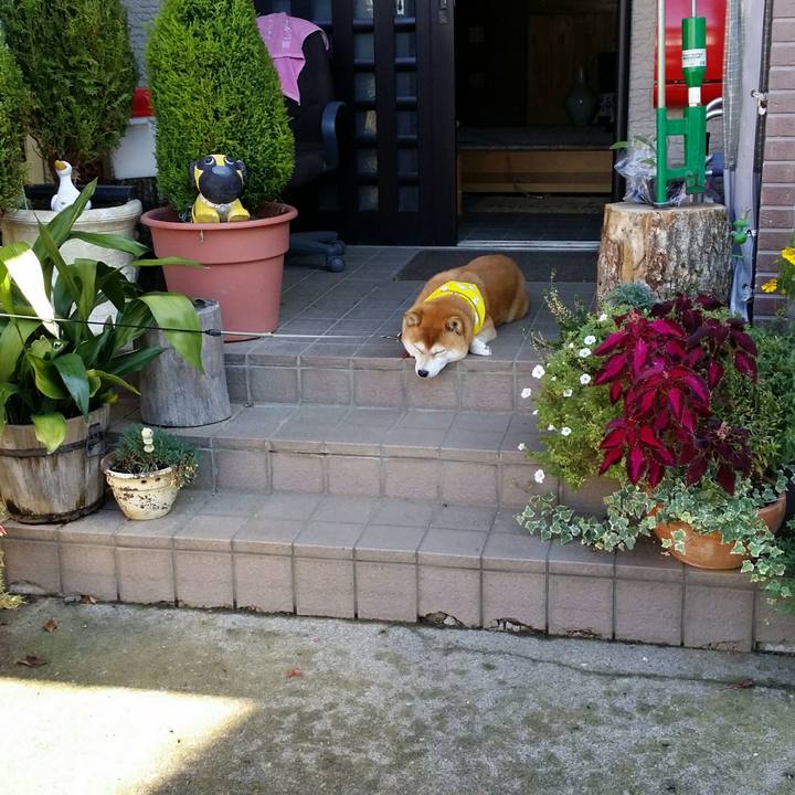 D6a5c00c f001 481f 8fff c896e4301b77