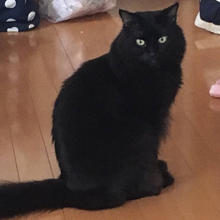 D6a65eaf 78b4 480b 87aa 19aa2a35b0a2