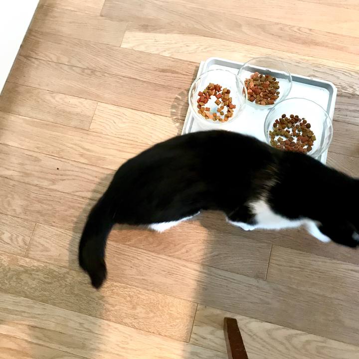 D6a66f04 28e7 495b 87ea 552c7565f22a