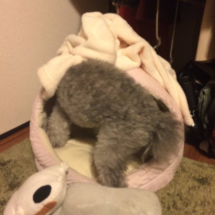 D6a739c2 7ed0 45c2 89c6 7029118d2f1c