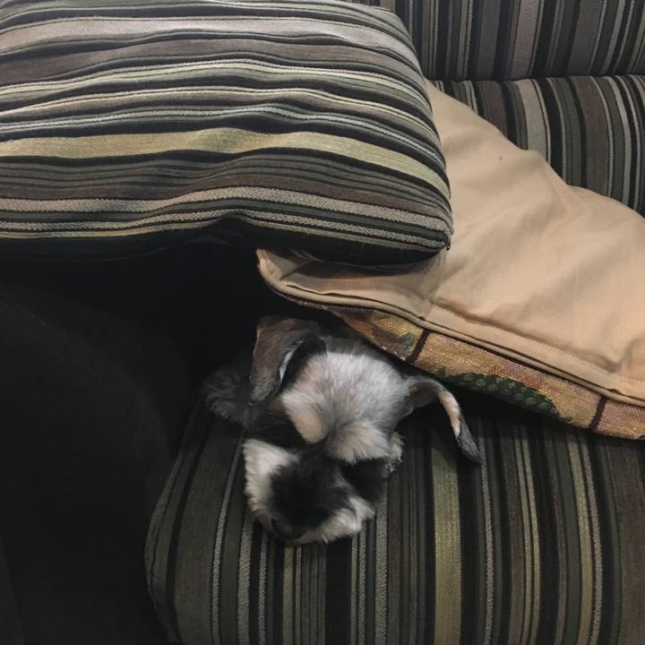 D6a8092f 7df1 4c76 95d7 39f553221f17