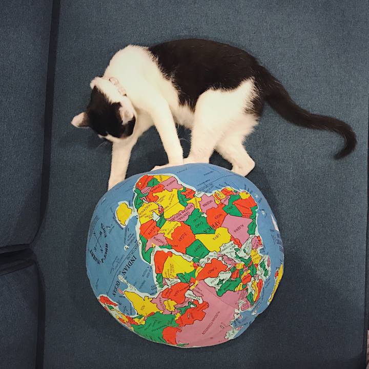 D6a81dc8 3964 4aeb 87f1 1ef465589427