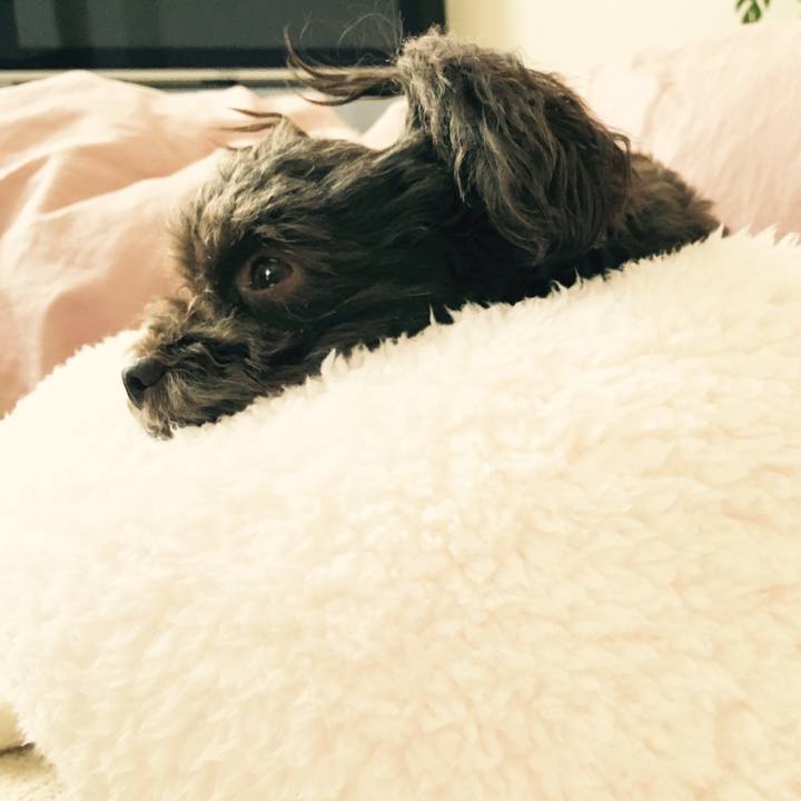 D6a87164 d9cf 42dc b144 bd5bc75c1726