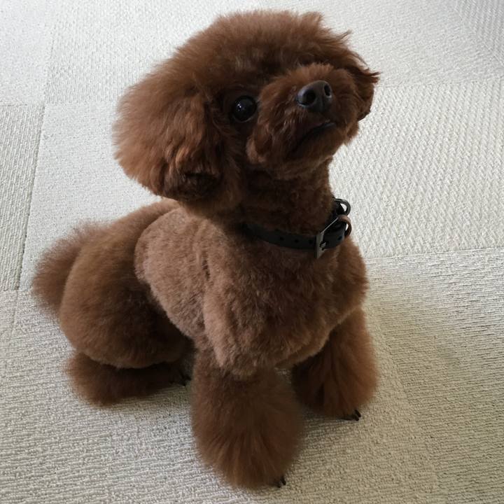 D6a94f7b d1ef 4e5f 805f d3ad990921b8