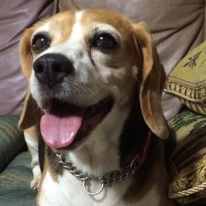 D6a95be0 ab9d 4e30 a072 41d195f8792d