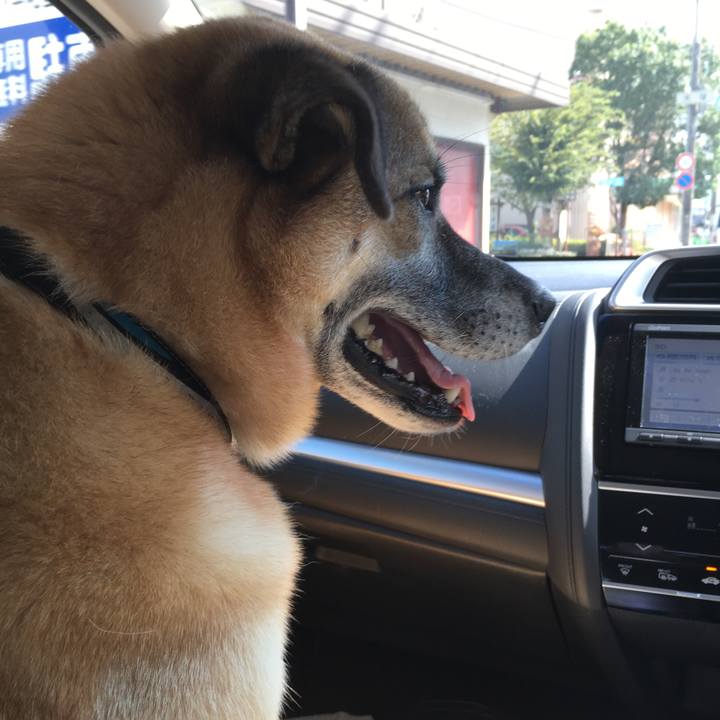 D6a97b0c 2a33 49fa 9ee4 1371c980e80a