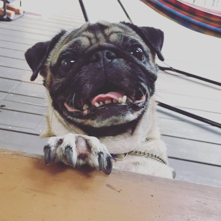 D6a9ab47 1f2d 4f87 a8b2 d7a68ec9eb02