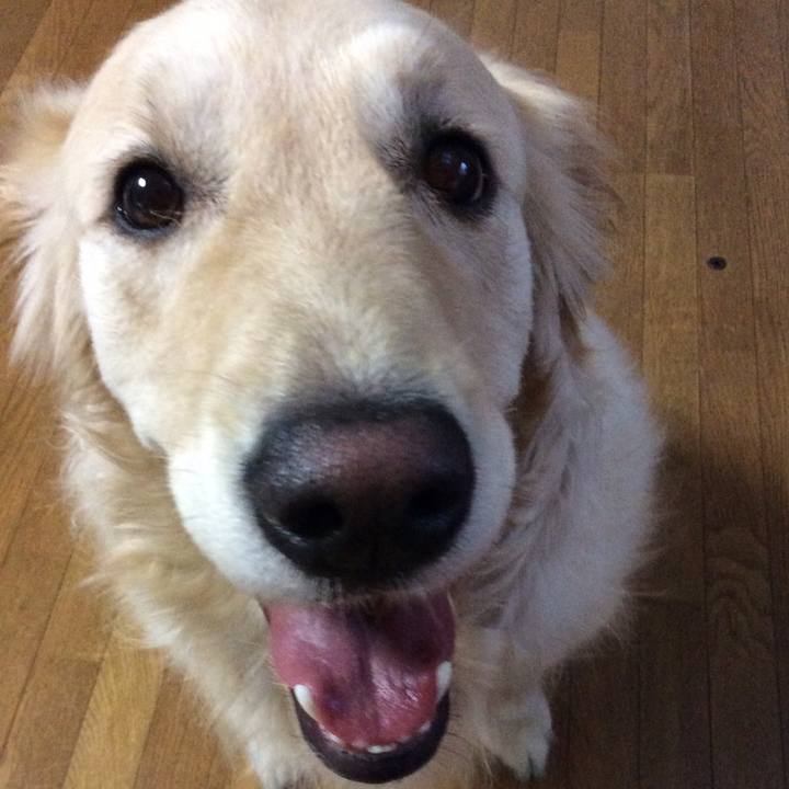 D6a9fccb 3b82 4807 9eb9 2c3ce6b06afe