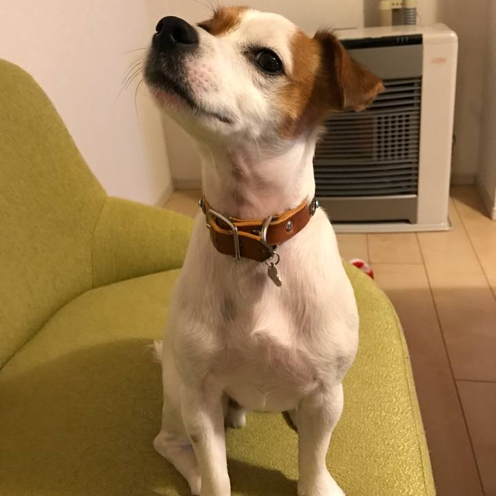 D6aa3b33 ff4f 4a4a 966d 8ade426fc91f