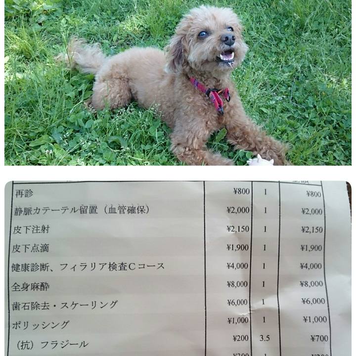 D6ac1ea0 b721 4de6 92ef cbae038ef8a4