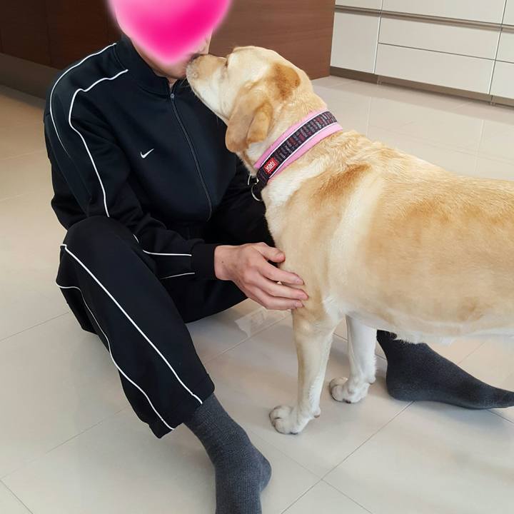 D6ac8378 bc9e 4f16 a516 4cf57e82211c